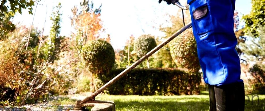 Les 5 meilleurs jardiniers de Lyon