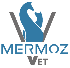 Clinique Vétérinaire Mermoz Vet