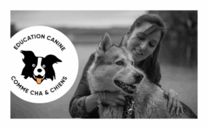 Comme Cha Et Chiens