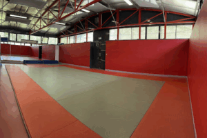 Dojo Yoseikan Budo
