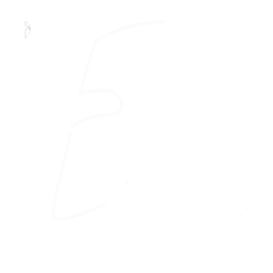 ElecBiz