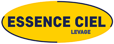 Essence Ciel