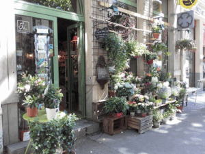 L'Espace d'Un Matin