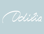 Odília Restaurant Brésilien Lyon