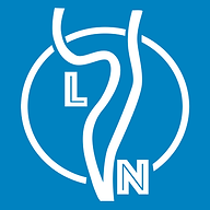 Visite Guidée Lyon