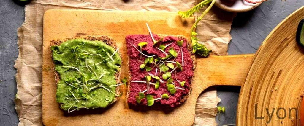 Les 7 meilleurs restaurants végétaliens de Lyon