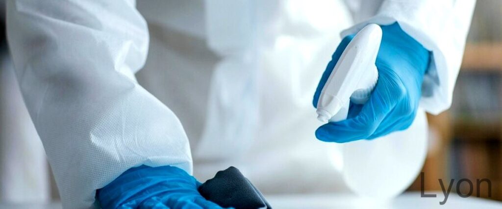 Les 7 meilleurs services dextermination de nuisibles à Lyon